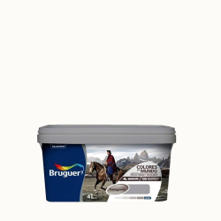 COLORES DEL MUNDO BRUGUER 4 LT