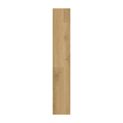 PERFIL INCIZO 5 en 1 QUICK STEP 2,15 ML