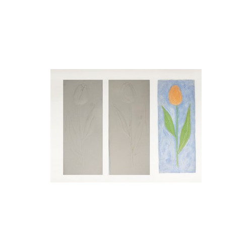 3 TABLAS ESCAYOLA FLORES